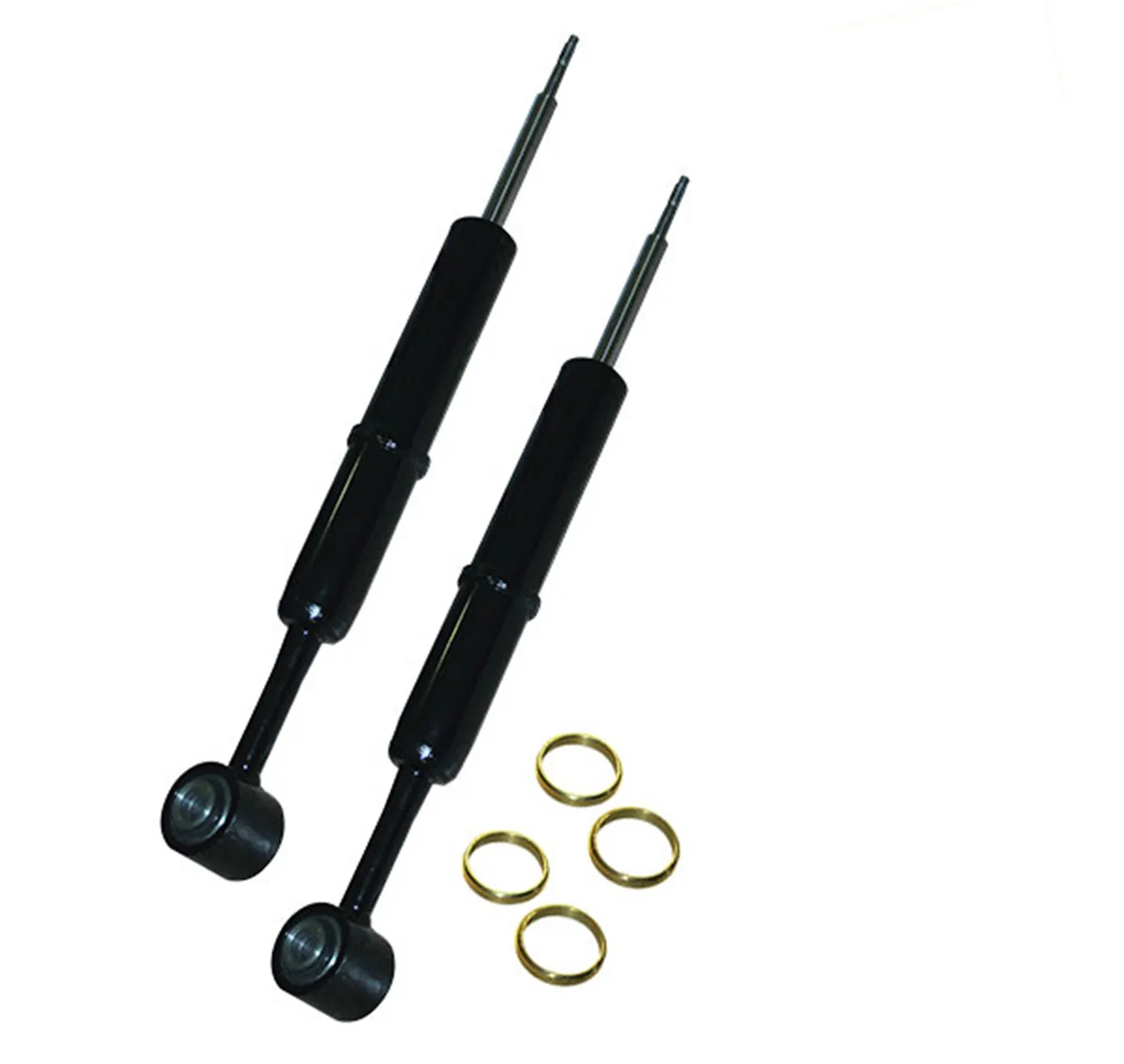 Skyjacker 2-3IN. STRUT 04-08 F150 4WD