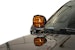 Addictive Desert Designs AC1101801NA Ditch Light Brackets