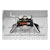 CURT 16130 Q20 5th Wheel Hitch
