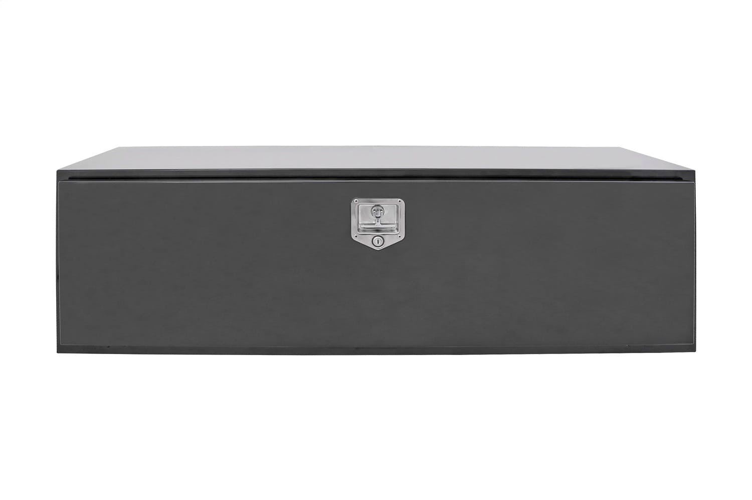 [ 希少 ] P-MODEL demo DSS-001 not for sale PhotoRoom-