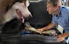 Husky Liners 09281 Under Seat Storage Box