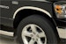 Putco 97302 Stainless Steel Fender Trim