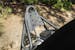 Rugged Ridge 11540.29 Stinger Guard, XHD