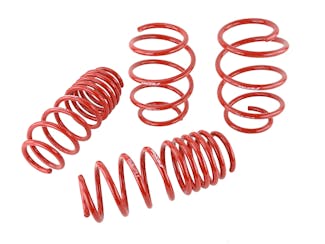 Skunk2 Racing 519-05-1775 Lowering Springs-16-18 Civic