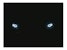 Spyder Auto 5009791 (Spyder) Dodge Dakota 97-04/Durango 98-03 1PC Projector Headlights-LED Halo-LED