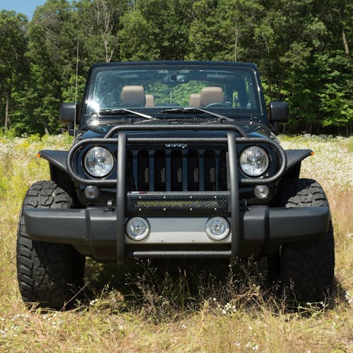 ARIES 2170000 Pro Series Black Steel Grille Guard with Light Bar, Select Jeep  Wrangler JK