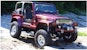 Bushwacker 10908-07 Pocket Style Fender Flares, 4pc