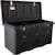 Buyers Products Company 1712255 26X23/21X51/47.25 Inch Black Poly Multipurpose Chest