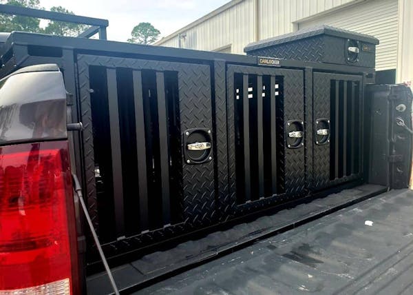 CamLocker DB48X48MB DOG BOX 48inX48in 2 BAY MB