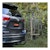 CURT 18085 Tray-Style Hitch-Mounted Bike Rack (2 Bikes, 1-1/4 or 2 Shank)