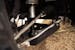 DV8 Offroad SPBR-02 Ford Bronco Front Lower Control Arm Skid Plate