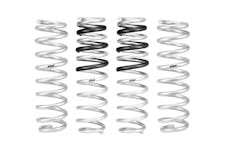 Eibach E30-35-056-01-22 PRO-LIFT-KIT Springs (Front & Rear Springs)