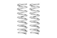Eibach E30-82-099-01-20 Set of 2 Springs