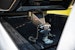 Gen-Y Hitch GH-8050 EXECUTIVE TORSION-FLEX Fifth Wheel King Pin Box 1.5K - 4.5K pin weight range 30K