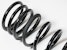 ICON Vehicle Dynamics 52750 1.75 Dual Rate Rear Spring Kit