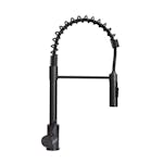 Lippert Components 2021090598 Coiled Pull-Down Faucet - Black Matte (Retail Box)