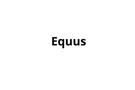 iEquus