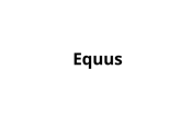 iEquus