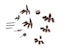Mr. Gasket 4362 ENGINE PORT POLISHING KIT