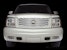 Putco 303115 Liquid Spider Web Grilles