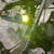 Race Sport Lighting RS02SA Aux Cube LightAmber Side Strobe Profession Grade Amber Fog Cutting Lens