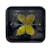 Race Sport Lighting RS3TEMPCL-F 20-Watt 2,000lm RoadRunner Compliant IP67 Cube Aux Light
