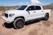 Raptor Series 1701-0041BT 6 OEM Running Boards Black Textured