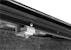 Roll-N-Lock LG226M M-Series Retractable Truck Bed Cover