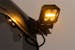 Rough Country 70802 LED Light