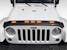 Rugged Ridge 11350.31 Lightshield Hood Guard