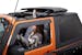 Rugged Ridge 13860.35 Voyager Top Black Diamond S.Cloth, Tinted Window