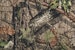 Seat Saver SSC2543CAMB Carhartt Camo SeatSaver Custom Front Row Seat Covers - Mossy Oak