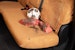 Seat Saver SSC1195CABN Carhartt SeatSaver Custom Front Row Seat Covers - Brown