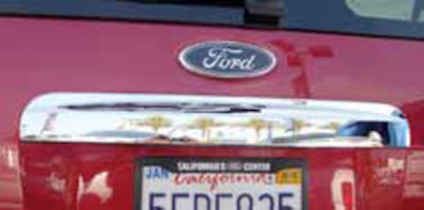 TFP 163D Tailgate Handle Insert Upper Hatch Insert Above License Plate