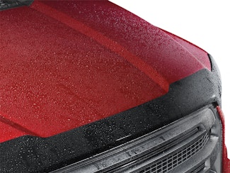 WeatherTech 55234 Hood Skin Protector