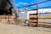Weigh Safe CTB4-2.5 180 Hitch 4" Drop Hitch w/ 2.5" Shank (10K/18.5K GTWR)