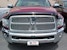 Westin Automotive 72-94136 Platinum Bug Shield Smoke