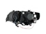 AnzoUSA 121397 Projector Headlights with Halo Chrome