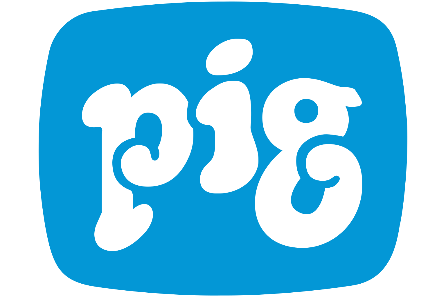New Pig Corporation