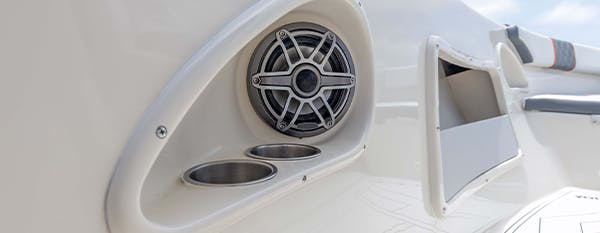 Speaker Cases