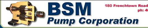 BSM Pump Corporation
