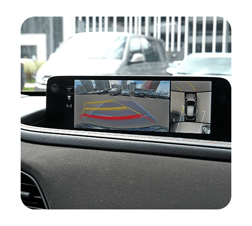 Park Assist & Backup Cameras