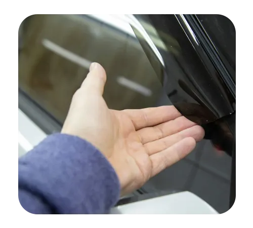 Window Visors