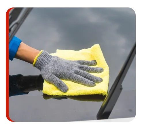 Windshield Protection