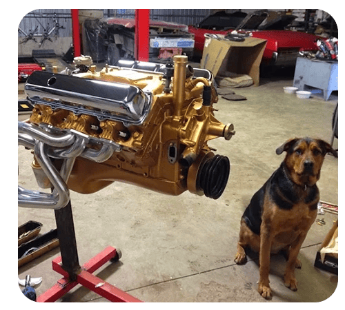 Body & Paint Services