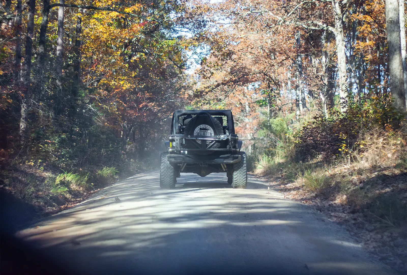 Jeep driving down a forest road at Uwharrie