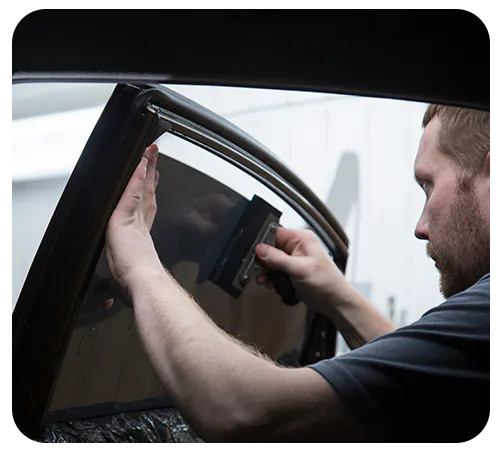 Window Tint