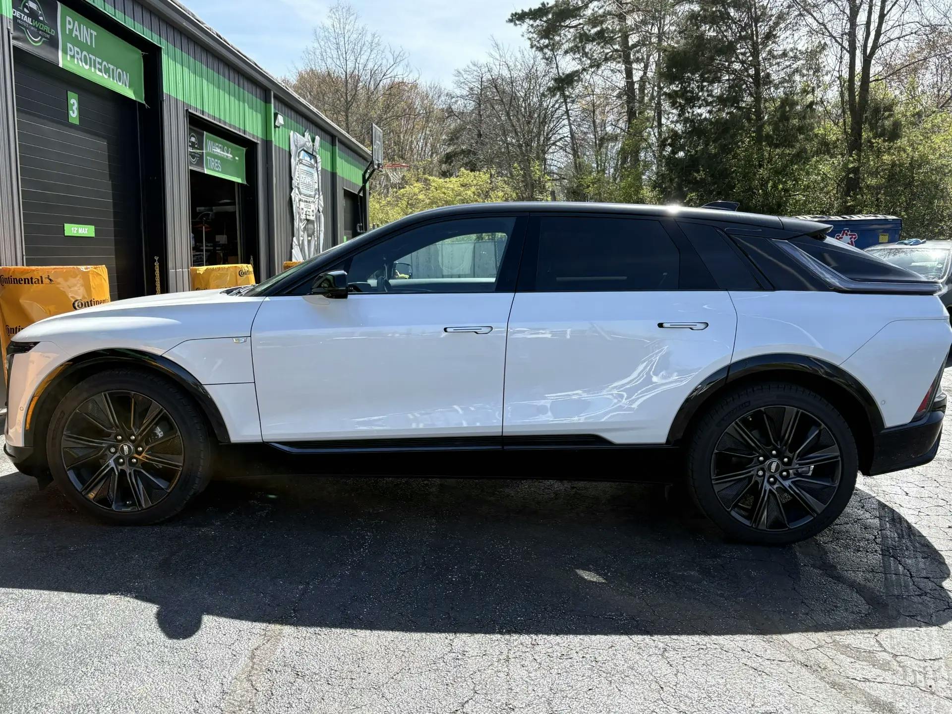 Before Tinting