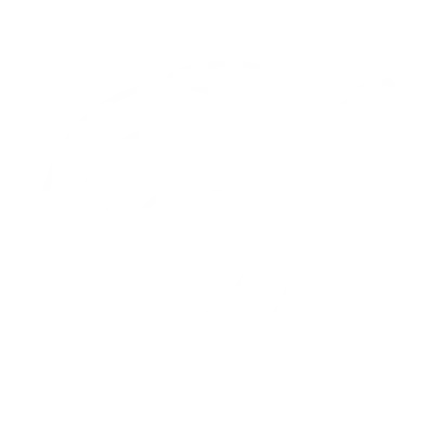 Brake Repair