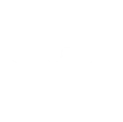 Electrical Repair